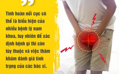 Tinh hoàn nổi cục – dấu hiệu sớm của ung thư tinh hoàn