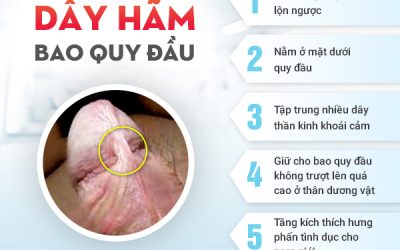 Hỗ trợ điều trị đứt dây hãm quy đầu với bác sĩ chuyên khoa nam học giỏi