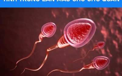 Tinh trùng có lẫn máu – Dấu hiệu bất thường nam giới không được chủ quan